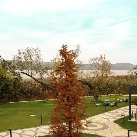 Отель Wellwood Сапанча