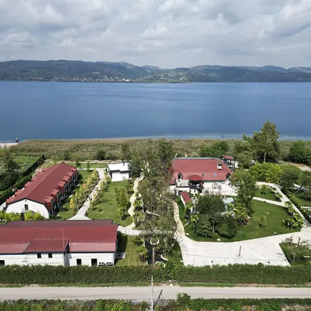 Wellwood * Сапанча